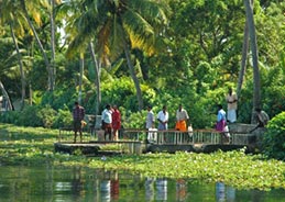 Kerala Backwaters Tour